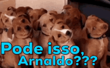Pode Isso Arnaldo / Galvão Bueno / Pergunta / Dúvida / Questão GIF