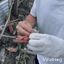 Making A Weapon Viralhog GIF - Making A Weapon Viralhog Tying Up The Knife GIFs