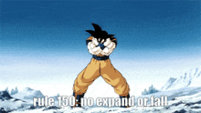 Goku Dont Do It GIF - Goku Dont Do It No Expand Or Fal GIFs