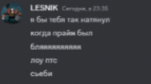 a screenshot of a discord conversation between lesnik and lou pts