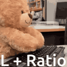 Bear Ratio GIF - Bear Ratio Took An L GIFs