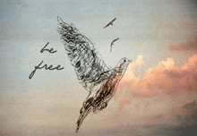 Dove Hawk GIF - Dove Hawk Be Free GIFs