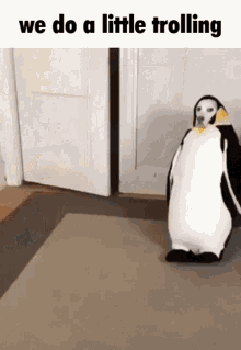 penguin trolling