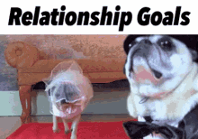 Relationship Goals GIF - Relationship Goals GIFs