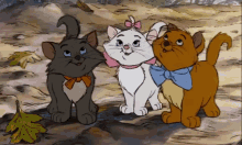 Disney Aristocats GIF - Disney Aristocats Kittens GIFs