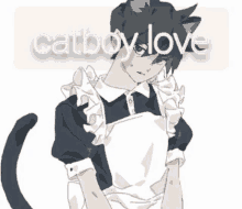 Catboylove GIF - Catboylove GIFs