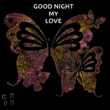 Butterfly Good Night GIF - Butterfly Good Night My Love GIFs