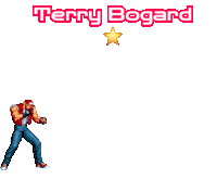 a video game character with the name terry bogard on the bottom