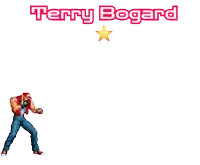 a video game character with the name terry bogard on the bottom