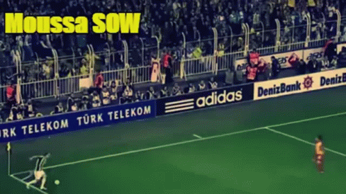 sow gif