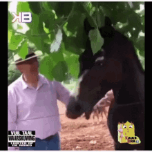 horse wow bite nipple donkey