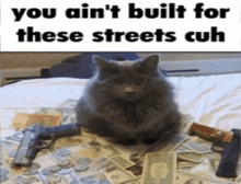 Cuh You Ain'T Built For These Streets GIF - Cuh You Ain'T Built For These Streets Cuh You Ain'T Built For These Streets Cuh GIFs