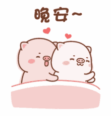 love bed sleep pigs nitez