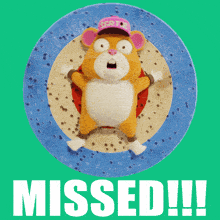 a cartoon cat is laying on its back on a blue plate with the words missed below it