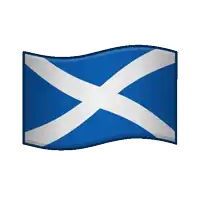 a blue and white flag with an x in the middle