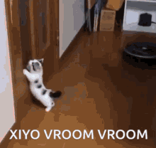 Xiyo Xiyo Vacuum GIF - Xiyo Xiyo Vacuum Xiyo Kitty GIFs