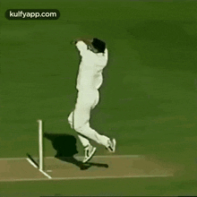 bowling alley bowling gif trending cricket
