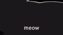 Meow Cats GIF - Meow Cats I Love My Cat GIFs