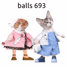 two cats dressed as nurses and doctors with the words balls 693 behind them