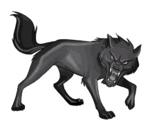 wolf sharp fangs black wolf