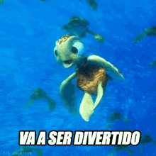 Chiqui Va A Ser Divertido GIF - Turtle Sea Turtle Chiqui GIFs