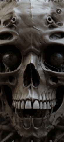 Skull Close Up Skull Changes GIF - Skull Close Up Skull Changes Skull Art Filters GIFs