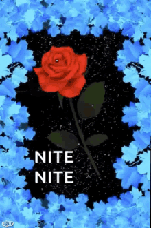 nite goodnight rose flower sparkle