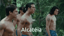 Alcateia Wolf GIF - Alcateia Wolf GIFs
