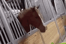 Horse Cool GIF - Horse Cool Familyguy GIFs