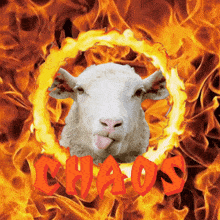 Lambchaos GIF - Lambchaos Lamb Chaos GIFs