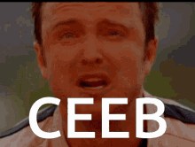 Ceeb Cebcebceb GIF - Ceeb Cebcebceb GIFs