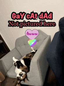 a cat is laying on its back in a chair with the words gay cat dad not pictured here