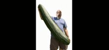 a man in a blue shirt holds a very large cucumber