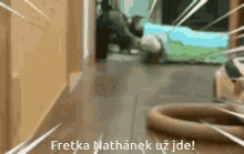 Ferret Fretka Nathanek GIF