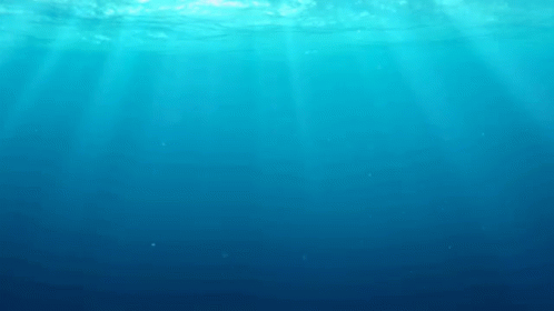 Finding Dory GIF - Finding Dory Dory Gi Fs GIFs