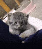 a small kitten is laying on a pillow with a bowl in the background