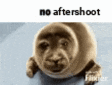 No Aftershoot No Logz GIF - No Aftershoot No Logz No Logs GIFs