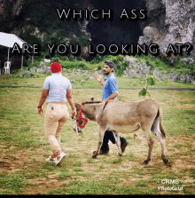 a man and a woman are walking a donkey in a field with a caption that says which ass are you looking at