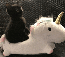 a black kitten sits on the back of a stuffed unicorn