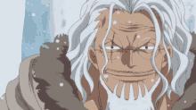 Rayleigh Roger GIF - Rayleigh Roger One Piece GIFs