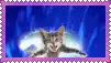 a gray and white kitten is laying on a blue background in a pink frame .