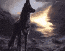 a wolf is standing in front of a full moon in a dark forest .
