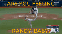 Tampa Bay Rays Rays GIF - Tampa Bay Rays Rays Baseball GIFs