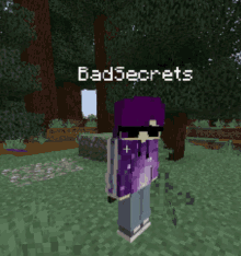 Badsecrets Minecraft GIF - Badsecrets Minecraft Bad_secrets GIFs