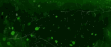 a green background with a white swirl in the middle and the words " ultek "