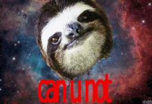 Can U Not GIF - Sloth Canunot Stop GIFs