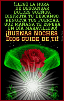red rose quotes buenas noches