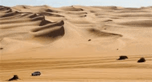 Desert GIF