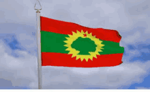 Oromiya Flag GIF - Oromiya Flag GIFs