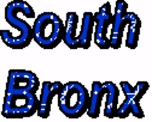 south bronx